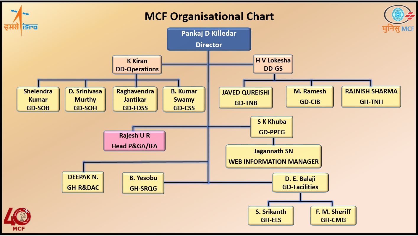 organization structure