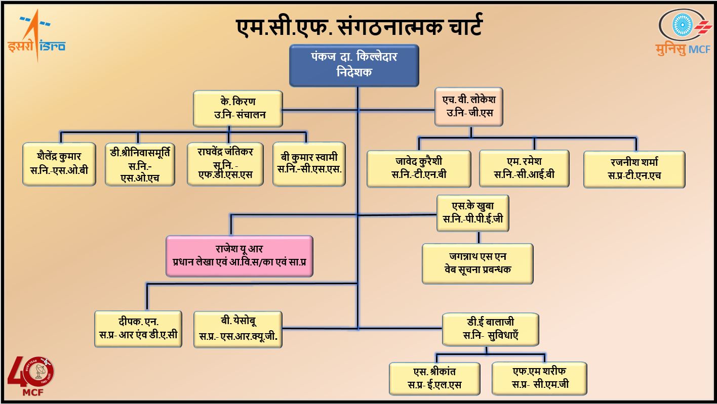 organization structure